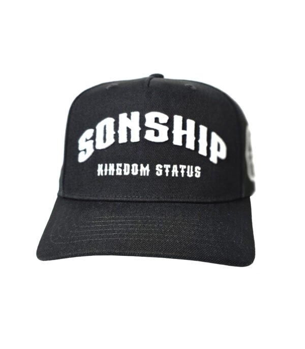 wearwisdom_hat_sonship_2_1