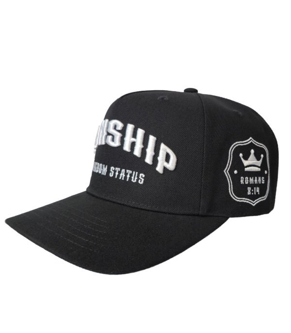 wearwisdom_hat_sonship_2_1