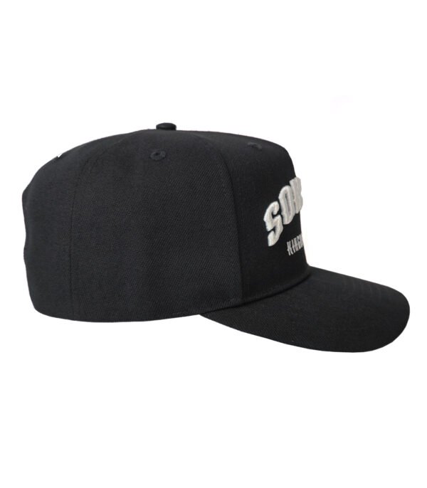 wearwisdom_hat_sonship_2_1
