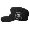 wearwisdom_hat_sonship_3_3